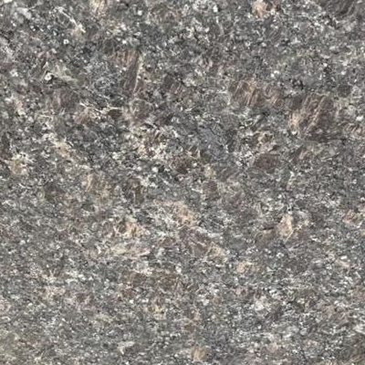 英國(guó)棕黑棕
